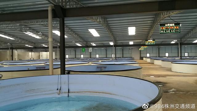 株洲首个智能鱼菜共生种养基地首批产品复工出产，冷链配套助力高效保鲜