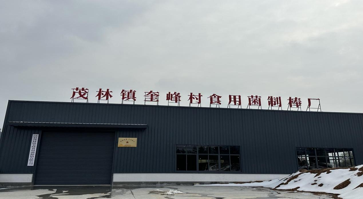 泾县茂林镇 激活特色产业 绘就乡村振兴“实景图”——冷库赋能产业发展新篇章