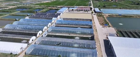 平罗县22个渔业绿色循环发展试点项目开工，含冷库等基础设施投资2.86亿元