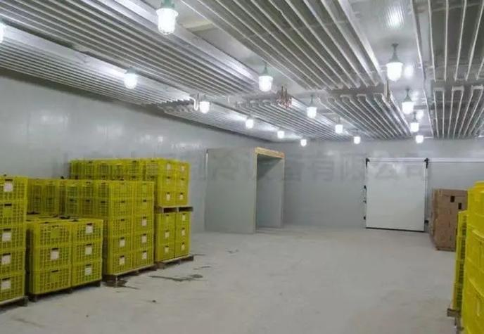 专业冷库安装 守护食品新鲜与安全的基石